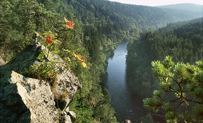 Fritschova stezka údolím řeky Vltavy